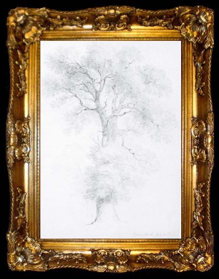 framed  Asher Brown Durand The Study,Windosor Park,England, ta009-2